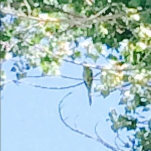 Meet your Posher, Shelina